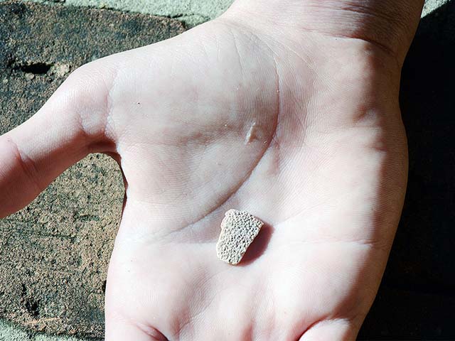 Um pequeno e frágil fragmento de casca de ovo de titanossauro, exibido na palma da mão por Tomás Petesse Basilici, de 14 anos