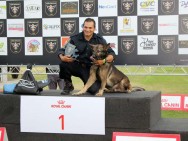 Canil da GCM de Sumaré ganha medalhas de ouro e prata em competição em Campinas