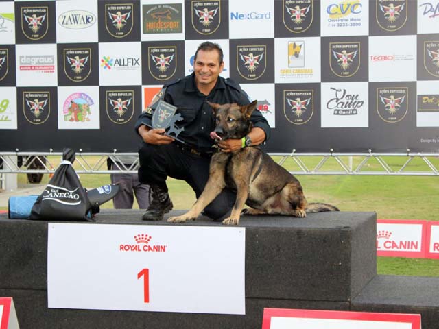 O pastor cinza Max, com o condutor Itamar, ficou em primeiro lugar na categoria Defesa da Equipe