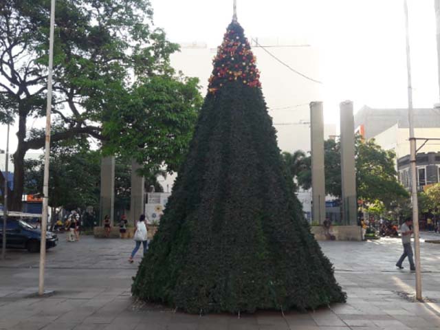 Montagem de árvore de Natal no centro de Campinas