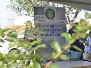 Mais de 90 mudas de árvores serão plantadas no Jardim João Pioli 