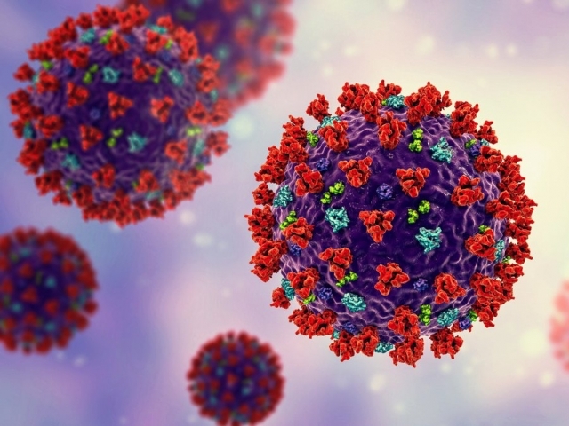 Desde o início da pandemia, 55.353 pessoas contraíram o Novo Coronavírus