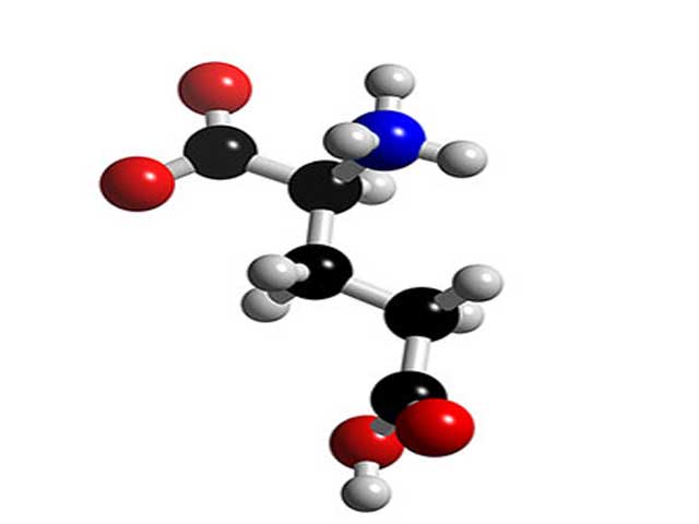 Modelo molecular do aminoácido Glutamato