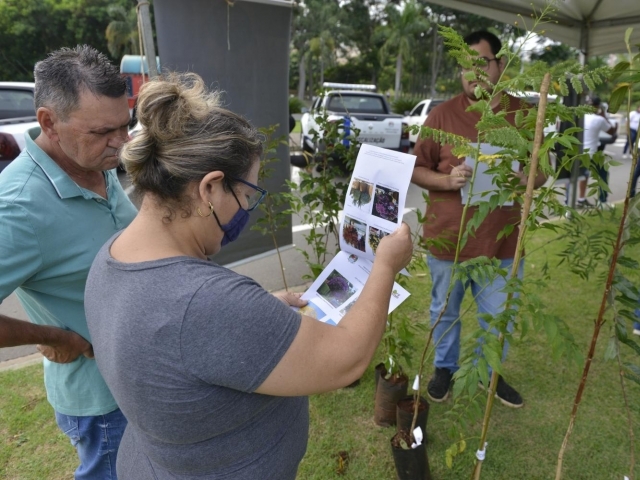 Equipes estarão no bairro para o cadastramento dos moradores interessados em ter uma muda de árvore plantada na calçada do imóvel