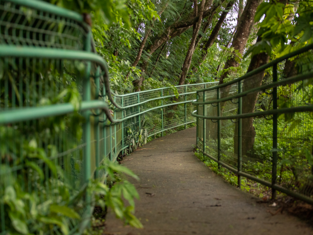 Bosque do Saber oferece aos visitantes aos sábados e domingos um passeio pela trilha ecológica, quiosques e parquinhos infantis