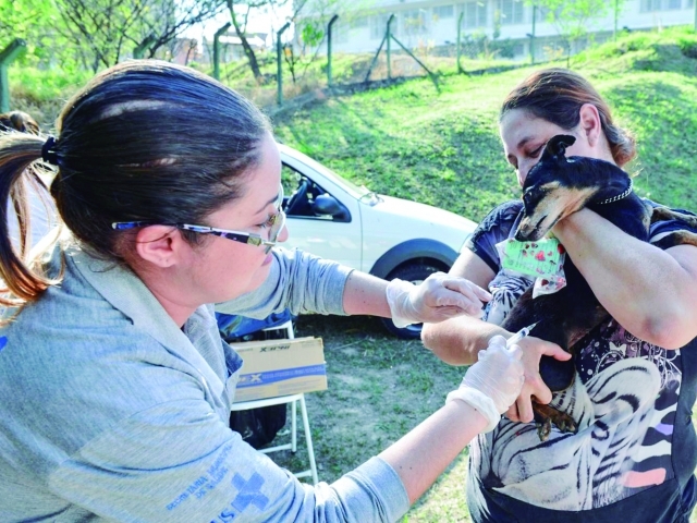 Prefeitura promove ação para a vacinação em cães e gatos contra a raiva no bairros
