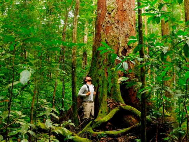 Rafael Silva Oliveira, um dos autores do artigo publicado na Nature, em trabalho de campo: coleta de amostras das plantas para o estudo foi realizada em 11 locais