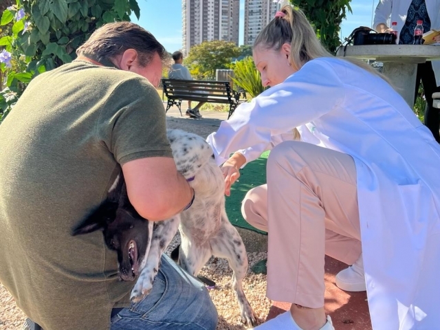 Ao todo 404 cães e mais 87 gatos foram vacinados em Indaiatuba no último sábado