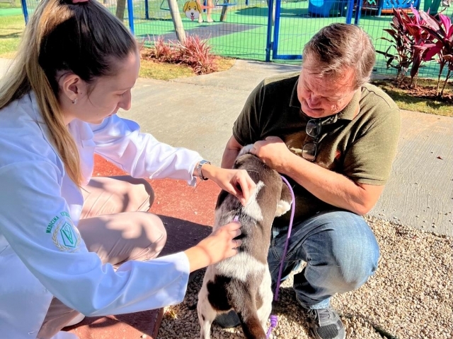 Ao todo 404 cães e mais 87 gatos foram vacinados em Indaiatuba no último sábado