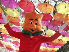 Expoflora anuncia nova mascote para formar par com o Tulipo