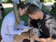 Vacinação contra raiva animal ocorre no sábado no Parque PET do Jardim Esplanada