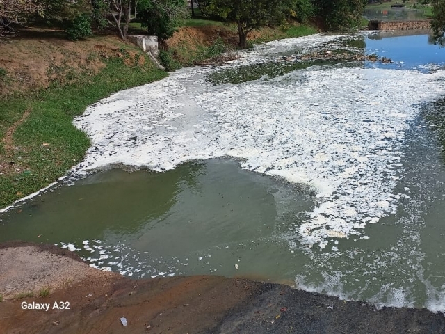 Descarte irregular de produtos químicos no Córrego do Barnabé provocou a morte de peixes