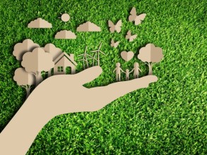 Dicas de como tornar sua moradia mais sustentável 