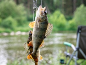 Parque Ecológico terá primeira edição do Torneio de Pesca Esportiva 