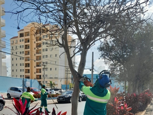 Prefeitura realiza serviço de poda de árvores somente em calçadas, e mediante solicitação via Protocolo