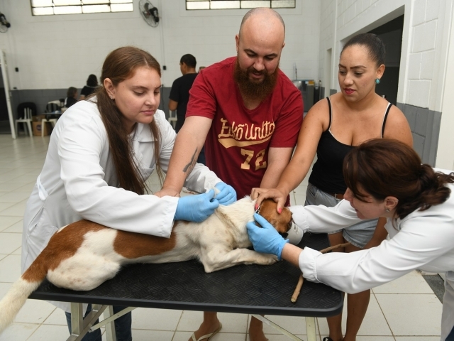 Prefeitura de Indaiatuba contabiliza 180 animais microchipados em primeira ação no Jardim Brasil