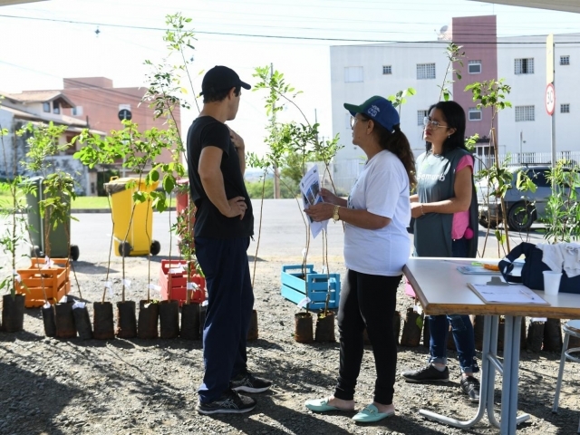 Equipe do Projeto Click Árvore levará serviço de doação de mudas para três praças da região central