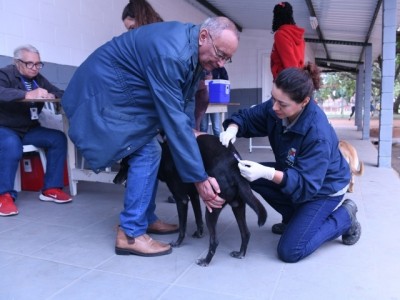 Prefeitura de Indaiatuba contabiliza 92 animais microchipados em ação no bairro Tombadouro