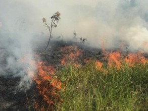Prefeitura alerta população sobre período de queimadas na época de estiagem