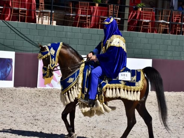 Entre as provas da exposição há a dos trajes típicos, odne os cavaleiros e cavalos vestem vestimentas tradicionais 