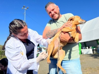 Secretaria de Saúde vacina animais contra raiva neste sábado no bairro Veredas da Conquista