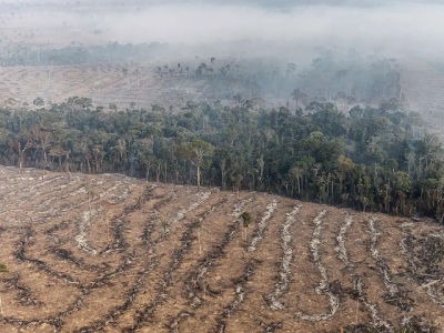 Fogo na Amazônia é etapa da exploração econômica do bioma