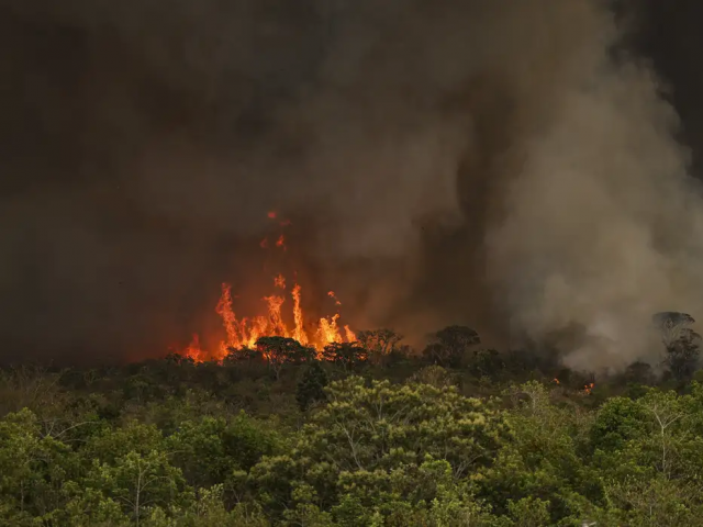 Brasil tem 22,38 milhões de hectares atingidos pelo fogo em nove meses