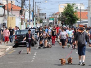 13ª Cãominhada de Itu será no próximo dia 27