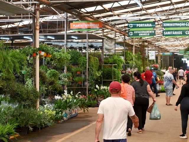 Mercado de Flores da Ceasa pode ser boa opção de lazer para este feriado