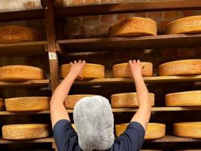 Queijaria associada ao Sindicato Rural de Itu conquista medalhas no World Cheese Awards 2024