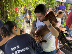 Secretaria de Saúde realiza vacinação antirrábica para cães e gatos no sábado 22