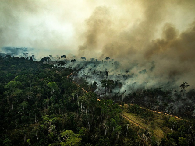 A ecologia integral envolve mudanças em diferentes esferas da sociedade 