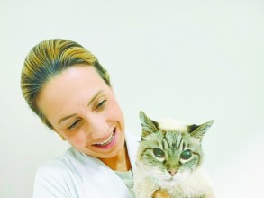 Março Amarelo alerta tutores sobre doenças renais em pets
