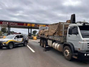 Polícia Militar Rodoviária realiza operação conjunta com a PF contra roubo de cargas em SP