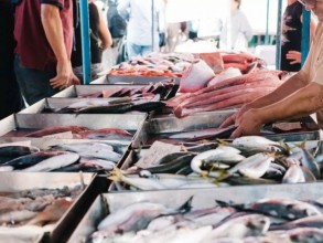 Pescados ganham espaço na mesa dos brasileiros: consumo cresce 7,5% em 2024