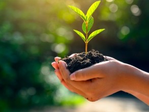 24º Prêmio Câmara de Meio Ambiente abre inscrições até dia 09 de maio