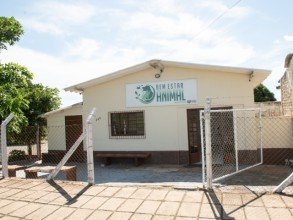 Equipe do Bem Estar Animal vai castrar 100 cães e gatos gratuitamente