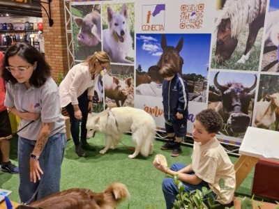 Plaza Shopping Itu e Natureza Conecta promovem experiências sensoriais com cães terapeutas 