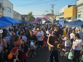 Rafard realiza 4ª Cãominhada neste domingo com feira pet, sorteios e conscientização