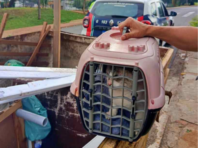 Guarda Civil resgata gato abandonado em caçamba de entulho