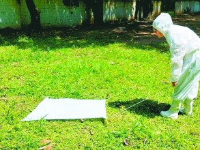 Saúde realiza ações de pesquisa acarológicas para prevenção e controle da febre Maculosa