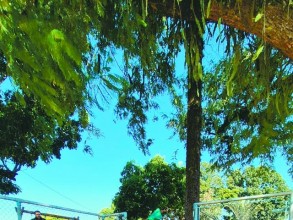 Praça Domingos Armando é revitalizada e oferece novo ambiente para lazer em Cardeal