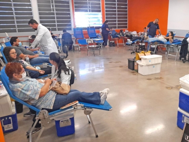 Uma bolsa de sangue pode salvar até quatro vidas