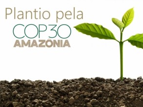 Indaiatuba participa de Plantio Simultâneo de Árvores como preparatório para COP30