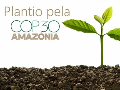 Indaiatuba participa de Plantio Simultâneo de Árvores como preparatório para COP30