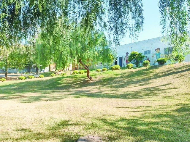 O evento será na Praça do Parque Corolla com muitas atrações gratuitas