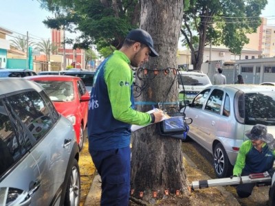 Prefeitura inicia avaliação fitossanitária de árvores em vias de três regiões da cidade