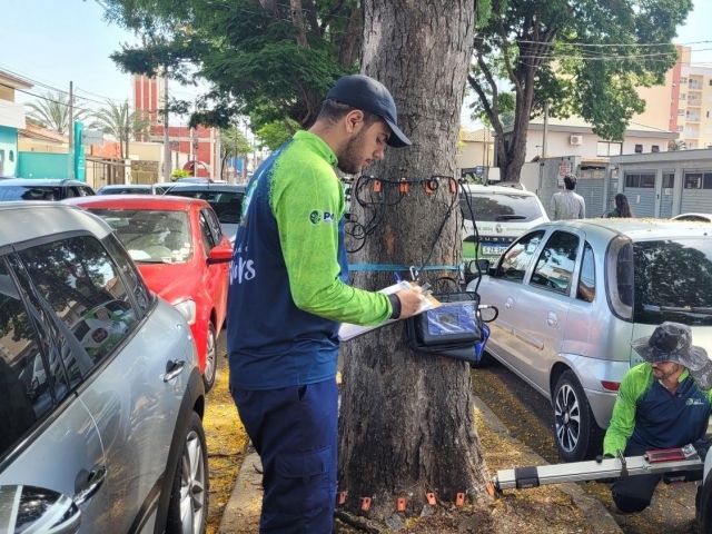 Tomógrafo foi usado em árvores da área de abrangência do estudo para uma avaliação mais precisa