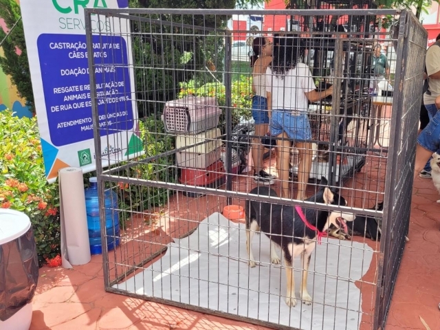 Programa Amigo Pet foi criado com a proposta de incentivar a adoção responsável de animais do CRA