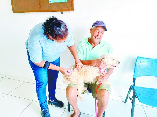 Podem ser vacinados os cães e gatos com mais de 3 meses de idade